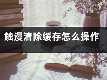 觸漫清除緩存怎么操作