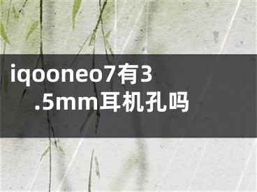 iqooneo7有3.5mm耳機(jī)孔嗎