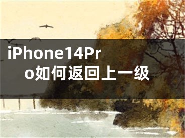 iPhone14Pro如何返回上一級