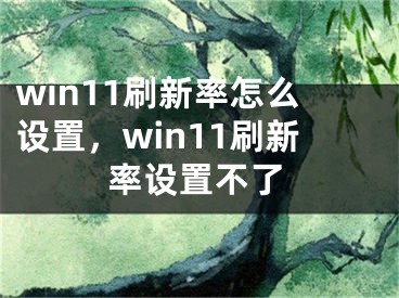 win11刷新率怎么設(shè)置，win11刷新率設(shè)置不了