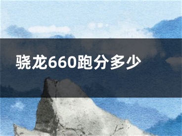 驍龍660跑分多少