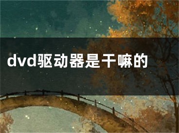 dvd驅動器是干嘛的