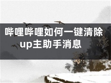 嗶哩嗶哩如何一鍵清除up主助手消息