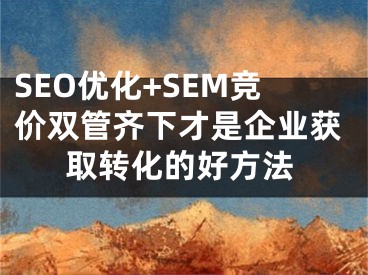 SEO優(yōu)化+SEM競價雙管齊下才是企業(yè)獲取轉(zhuǎn)化的好方法