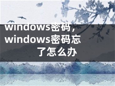 windows密碼，windows密碼忘了怎么辦