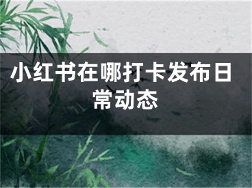 小紅書在哪打卡發(fā)布日常動態(tài)