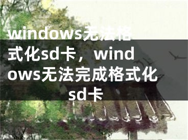 windows無法格式化sd卡，windows無法完成格式化sd卡