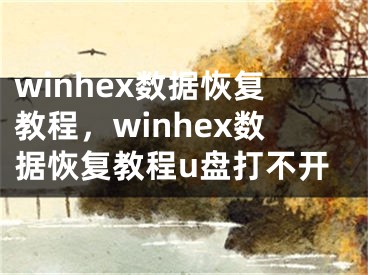 winhex數(shù)據(jù)恢復(fù)教程，winhex數(shù)據(jù)恢復(fù)教程u盤(pán)打不開(kāi)