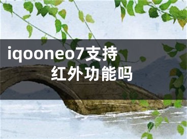 iqooneo7支持紅外功能嗎