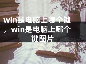 win是電腦上哪個(gè)鍵，win是電腦上哪個(gè)鍵圖片