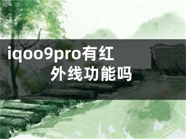 iqoo9pro有紅外線功能嗎