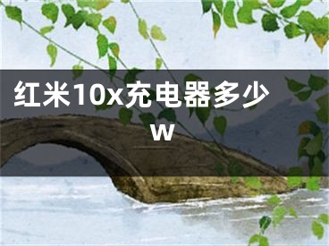 紅米10x充電器多少w