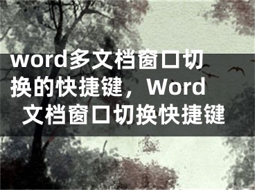 word多文檔窗口切換的快捷鍵，Word文檔窗口切換快捷鍵