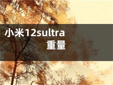 小米12sultra重量