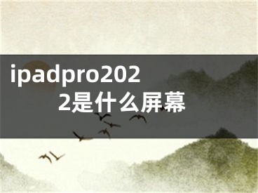 ipadpro2022是什么屏幕