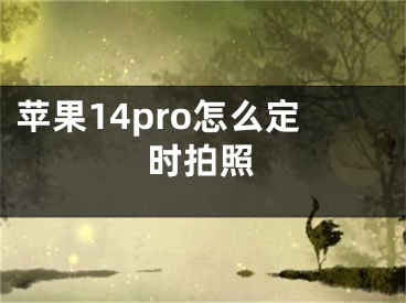 蘋果14pro怎么定時拍照