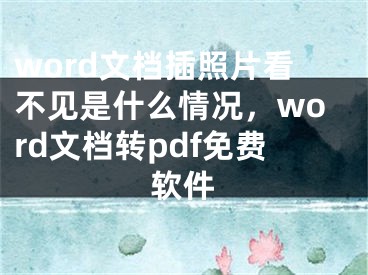 word文檔插照片看不見是什么情況，word文檔轉(zhuǎn)pdf免費軟件