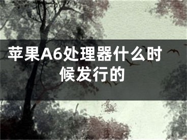 蘋果A6處理器什么時候發(fā)行的