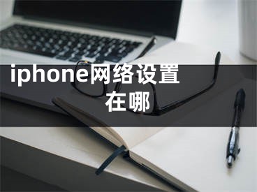 iphone網(wǎng)絡(luò)設(shè)置在哪