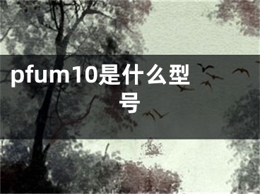 pfum10是什么型號