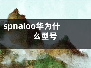 spnaloo華為什么型號