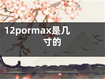 12pormax是幾寸的