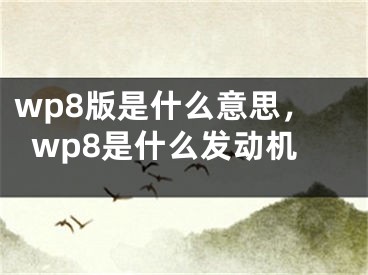 wp8版是什么意思，wp8是什么發(fā)動機