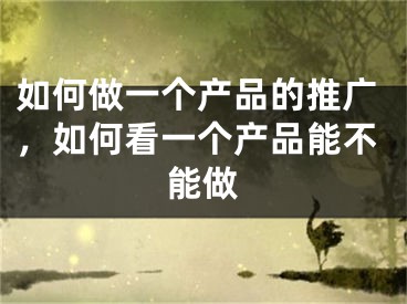 如何做一個(gè)產(chǎn)品的推廣，如何看一個(gè)產(chǎn)品能不能做