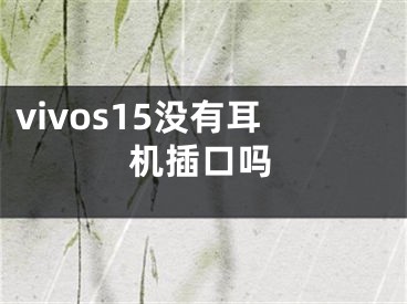 vivos15沒有耳機(jī)插口嗎