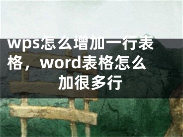 wps怎么增加一行表格，word表格怎么加很多行