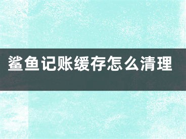 鯊魚記賬緩存怎么清理