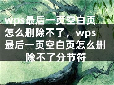 wps最后一頁(yè)空白頁(yè)怎么刪除不了，wps最后一頁(yè)空白頁(yè)怎么刪除不了分節(jié)符