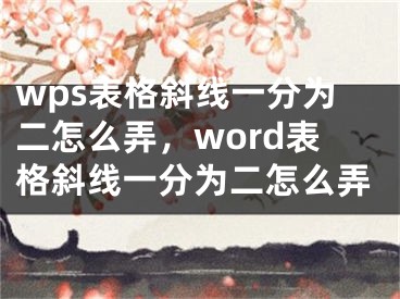 wps表格斜線一分為二怎么弄，word表格斜線一分為二怎么弄