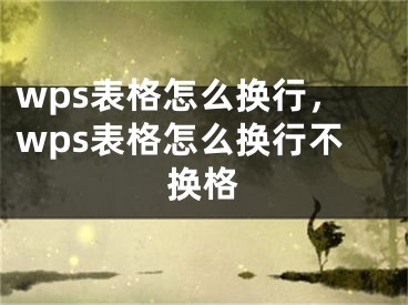 wps表格怎么換行，wps表格怎么換行不換格