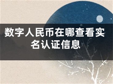 數(shù)字人民幣在哪查看實名認(rèn)證信息