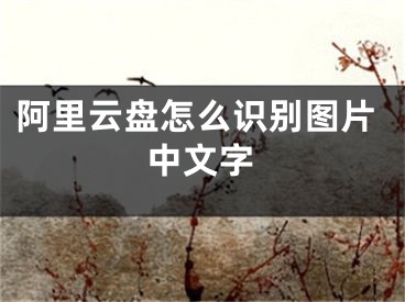 阿里云盤怎么識別圖片中文字