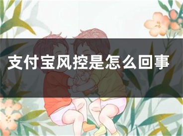 支付寶風(fēng)控是怎么回事