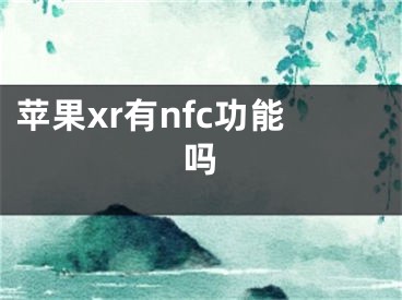 蘋果xr有nfc功能嗎