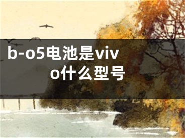 b-o5電池是vivo什么型號