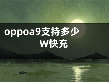 oppoa9支持多少W快充