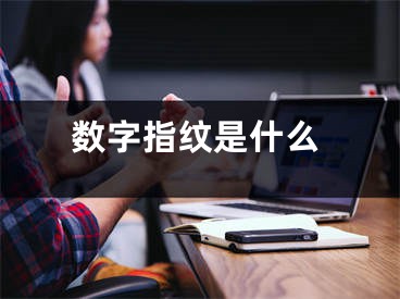 數(shù)字指紋是什么