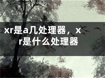 xr是a幾處理器，xr是什么處理器