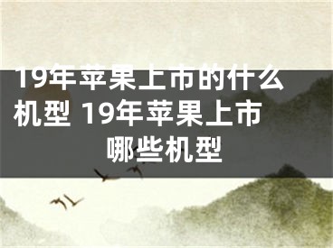 19年蘋果上市的什么機(jī)型 19年蘋果上市哪些機(jī)型