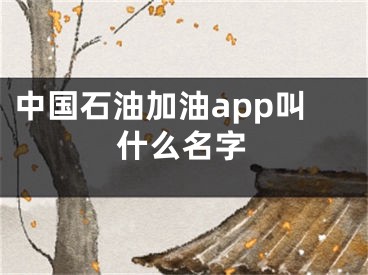 中國石油加油app叫什么名字