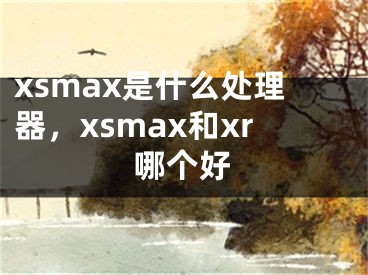 xsmax是什么處理器，xsmax和xr哪個(gè)好