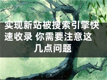 實(shí)現(xiàn)新站被搜索引擎快速收錄 你需要注意這幾點(diǎn)問(wèn)題