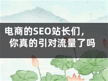 電商的SEO站長們，你真的引對流量了嗎