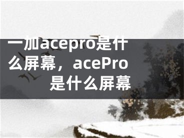 一加acepro是什么屏幕，acePro是什么屏幕