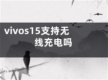 vivos15支持無(wú)線充電嗎