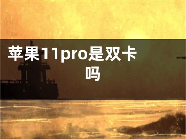 蘋(píng)果11pro是雙卡嗎